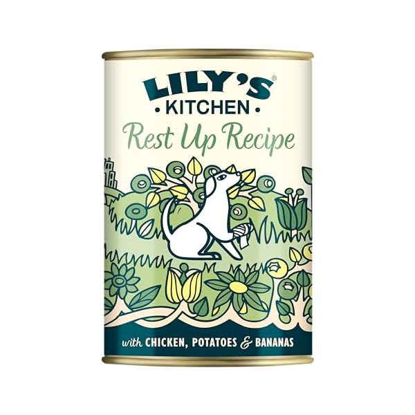Lily's Kitchen vollinhaltliches Nassfutter für Hunde, 400 g (6-er Packung)