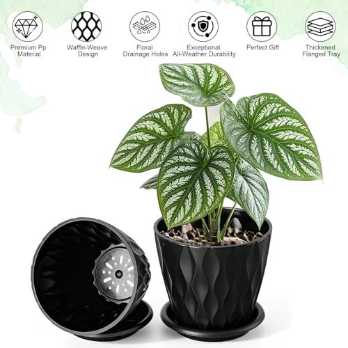 Romon Pot de Fleur Interieur, Set de 6 Pots en Plastique avec Soucoupe, Ouverture du Pot Diamètre 10cm, Jardinieres en PP, Adapté pour La Cuisine, Le Balcon, Les Plantes de Jardin et Bureau, Noir – Image 6
