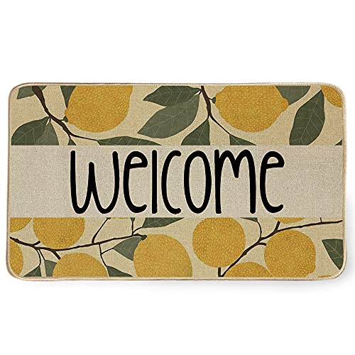 AENEY Welcome Door Mat, Lemon Decorative Doormat Switch Mat,Washable Rubber Non Slip Front Door Entrance Rug, Holiday Farmhouse Home Decor Indoor Outdoor Mat 17x29 Inch D005