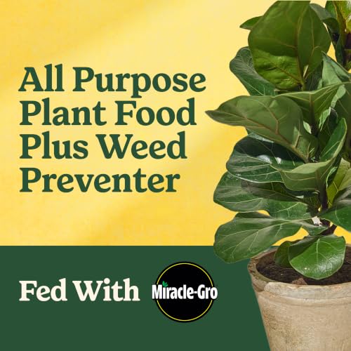 Image of Miracle-Gro Shake 'N Feed All Purpose Plant Food + Weed Preventer1, 4.5 lb.