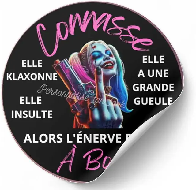 Autocollant Voiture Humoristique 'Connasse à Bord' - Stickers Drôles Véhicule