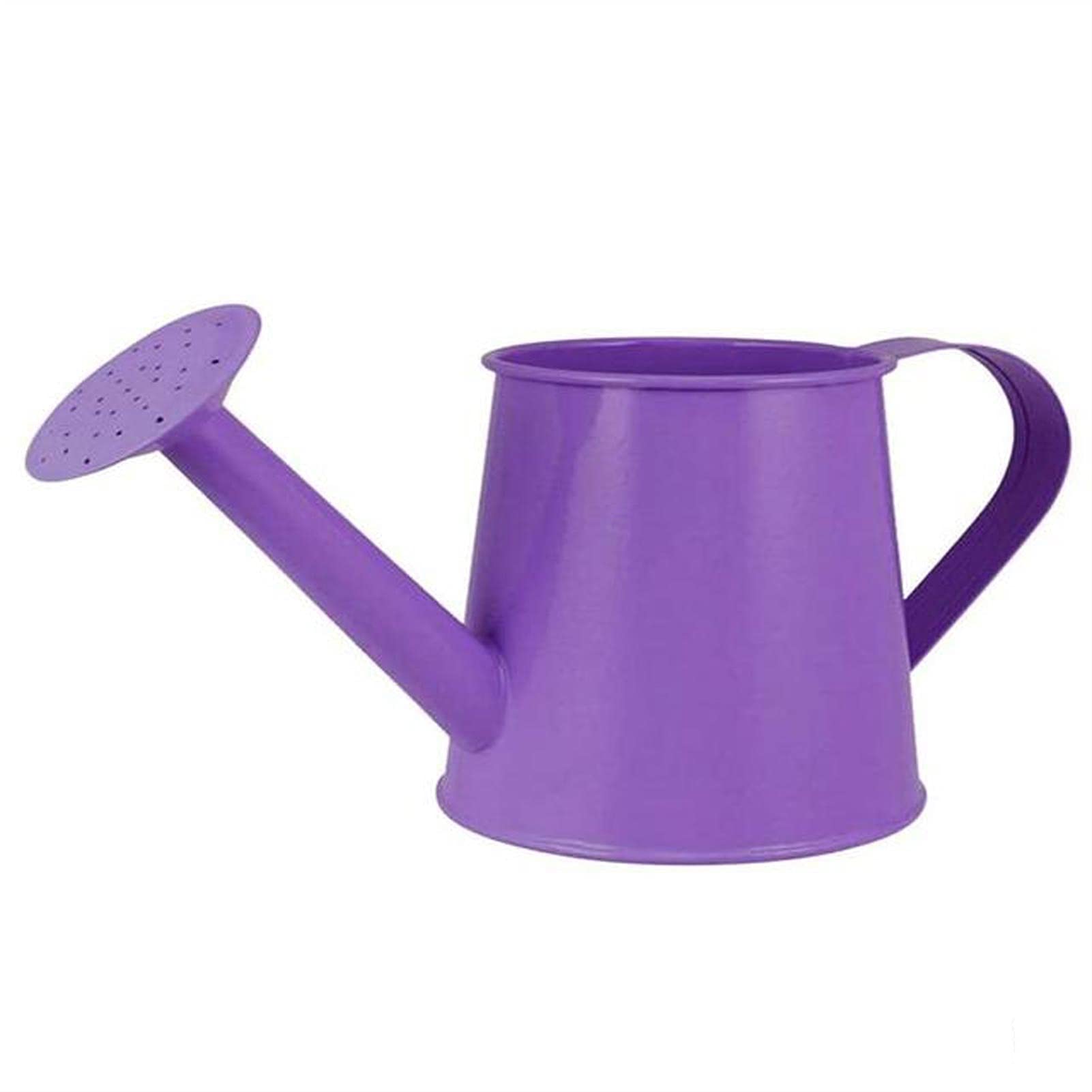 Konewka, konewka ogrodowa Mini żelazna konewka Domowe Bonsai Roślina Narzędzie prysznicowe Ogrodnictwo Czajnik na wodę Spray do nawadniania Ogród Butelka do pielęgnacji kwiatów Konewka do roślin zewnę