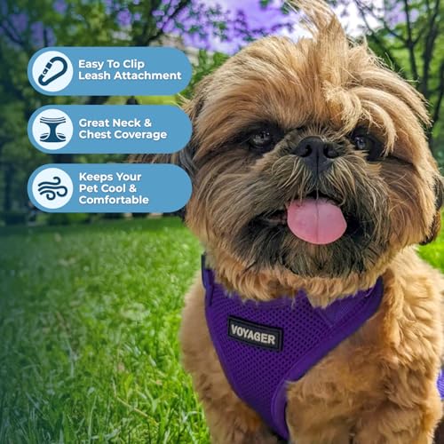 Image of Best Pet Supplies Voyager Step-in Lock Pet Harness w Reflective Pet Leash Combo Set with Neoprene Handle 5ft - Supports Small, Medium and Large Breed Puppies /Cats - Purple Set, L