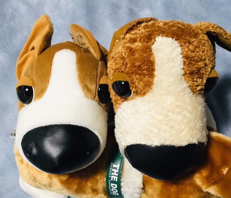 Amazon.co.jp: 【THE DOG】 ウェルシュ コーギー ぬいぐるみ3種セット