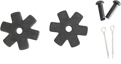 AJ Tack Paquete rowel de 6 puntos de 1 14"