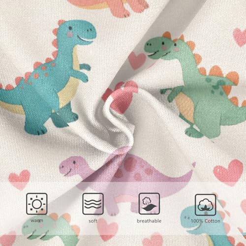 Cartoon Dinosaur and Love Boys' Underwear 100% Cotton Boys' Briefs Soft Toddler Underwear3