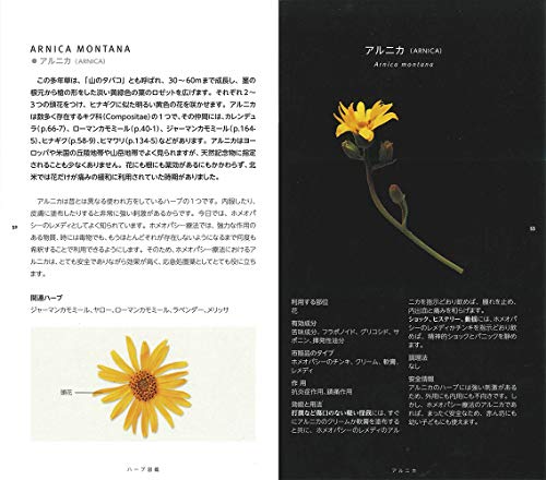 ハーブ メディカルハーブに関するおすすめ本 専門書 ハーブ 植物や自然とともに暮らす Pivolys