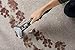 Hoover Power Scrub Elite Carpet Cleaner w/HeatForce, FH50250