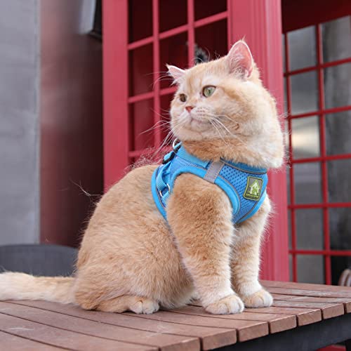 FEimaX Hundegeschirr mit Leine für Kleine Mittele Hunde Katzen Weich Mesh Welpengeschirr Atmungsaktive Brustgeschirr Verstellbare Reflektierend No Pull Weste Chihuahua Katze