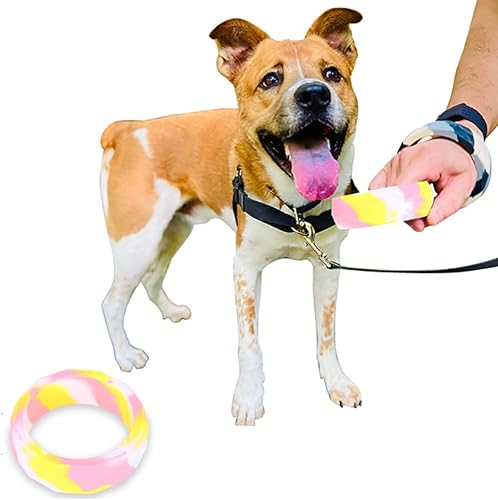 Sweet Paws Juguetes masticables para cachorros para denticiĂłn juguetes de silicona gruesos para perros para masticadores agresivos divertidos de Sweet Paws Juguetes masticables para cachorros para denticiĂłn juguetes de silicona gruesos para perros para masticadores agresivos divertidos de