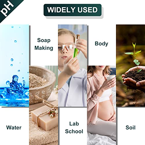 Ph Test Strips - 200Ct + 4 Colorimetric Blocks - Easy To Use And Wide Range Ph Strips - For Testing Water, Soil, Soap, Chemistry Experiment, Pet Food, Diet Ph Monitoring And So On #TOP2