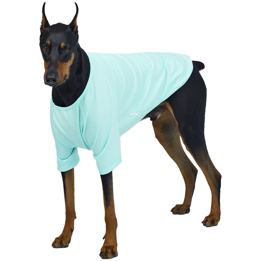 Camisa de perro para perros pequeños, camisetas lisas suaves y transpirables para perros, ropa para mascotas (2XL, menta)