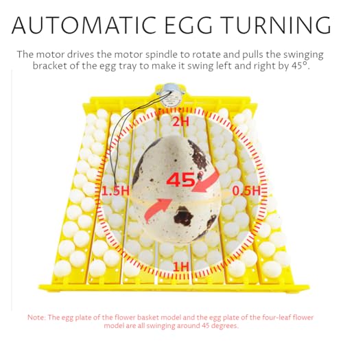 Glomora 56 Egg Incubator, Automatic and Adjustable Egg Turning, Incubator for Chicken Eggs, for Hatching Poultry Chicken Duck Bird Quail (16.92x16.33x1.81 in Yellow 110V)