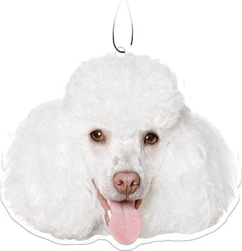 Miniatura 3 de Spoontiques Wonder Woman - Ambientador con logotipo (paquete de 3)