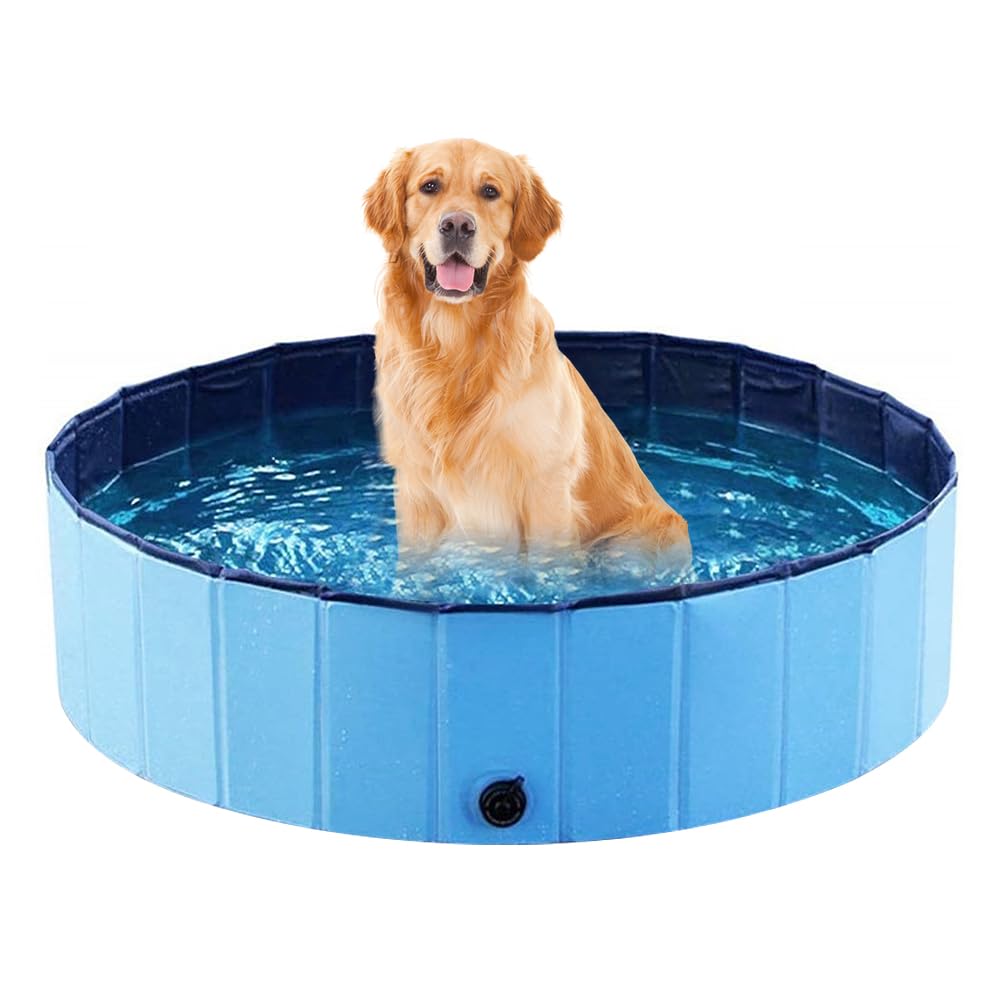 Piscine pliable pour chien idéale pour rafraîchir votre animal au jardin ou sur la terrasse