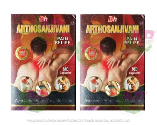 BENGAL HERBS ARTHOSANJIVANI PAIN RELIEF 30 CAPSULES PACK OF 2 (B0C3RTH3YG) Amazon Price History, Amazon Price Tracker