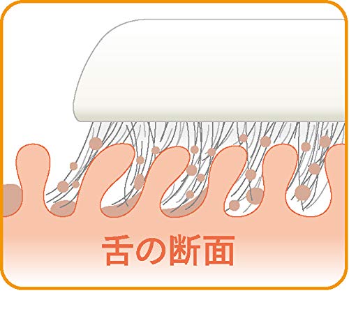 Swit(スウィット) 舌クリーナー Swit 2本入り ホワイト SW-001 の商品画像 4