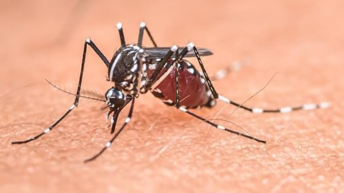 Hitzewellen und unser Gesundheitssystem