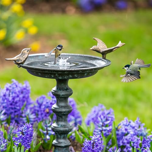 Mangeoire pour jardin et bain d'oiseaux robuste contre intempéries - 6