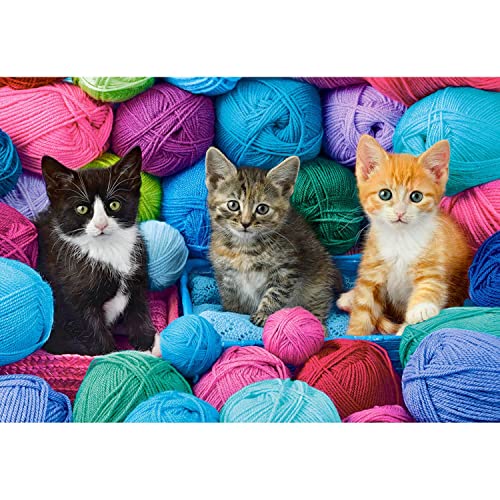 Puzzle 1000 pièces : Chatons dans Le Magasin de Laine