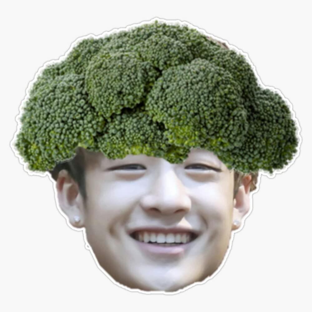 Vision Signs Broccoli Chan Stray Kids Bang Chan Sticker 5" Vinyl Decal