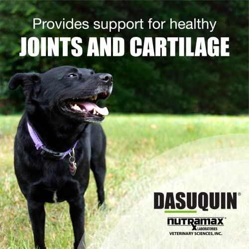 Nutramax Dasuquin Joint Health Supplement For Large Dogs - With Glucosamine, Chondroitin, Asu, Boswellia Serrata Extract, And Green Tea Extract, 150 Soft Chews #TOP2