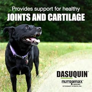 Dasuquin Soft Chews for Large Dogs 150ct