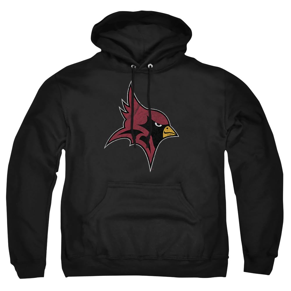 LOGOVISION Official Collegiate Distressed Primary Logo Adult Pullover Hoodie Collection — view 507