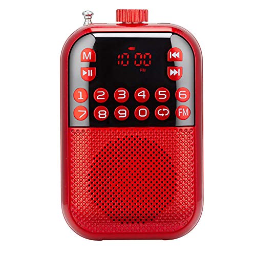 Radio FM rechargeable et lecteur de musique MP3 avec écran LCD haut-parleur portable USB TF