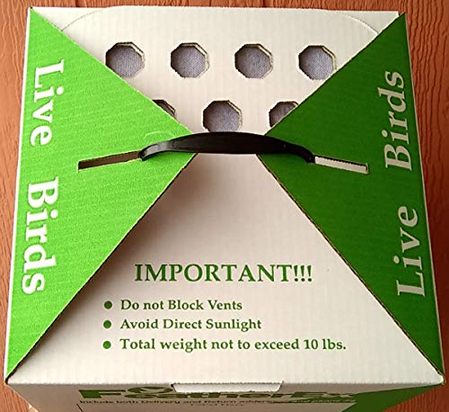 Three Pack of 12 x 12 FeatherEx Boxes : Live Bird Shipping Boxes