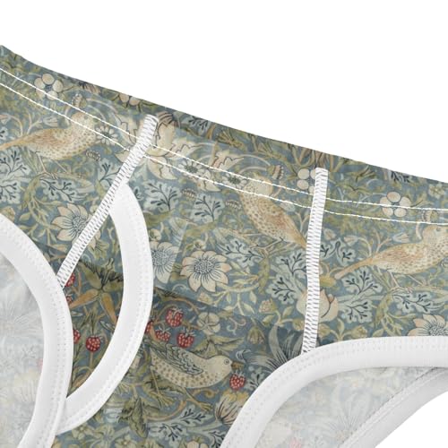 Boys' Exclusive Briefs Toddler Underwear 95% Combed Cotton Boxerbriefs 2T Vintage Floral Pattern 324