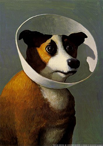 Filmhound Art Poster Print by Michael Sowa, 17x24