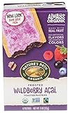Nature's Path, Organic Frosted Acai Toaster Pastry, 11 Oz