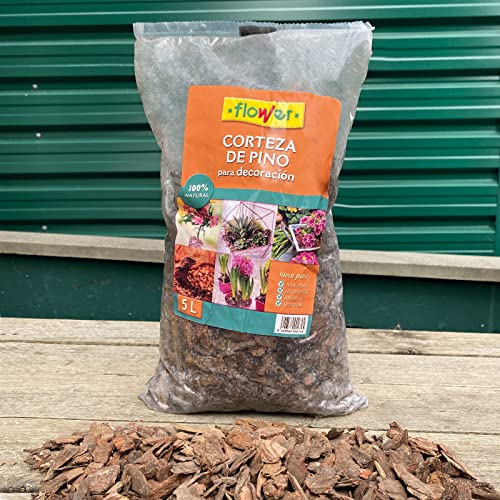 Flower 90274 – Dekorative Rinde-Kiefernholz, 15/30, 30 x 12 x 56 cm, braun