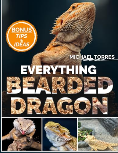 EVERYTHING BEARDED DRAGON EVERYTHING BEARDED DRAGON