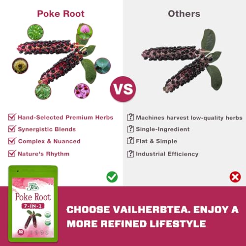 Image of VailHerbTea Lymphatic Drainage Poke Root Extract Tea -50 Bags, Herbal Tea for Lymph System & Immune Support, Natural Formula w /Cleavers Red Clover for Detox Cleanse - Caffeine-Free, Mild Taste Tea.
