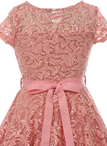 BNY Corner Cap Sleeve Floral Lace Glitter Pearl Holiday Party Flower Girl Dress4