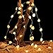Joyathome Seashell String Lights ,13.85ft 40 Warm White Led Waterproof Battery Operated Beach Themed String Lights for Bedroom Wedding Holiday Party Garden Indoor Outdoor Decorations