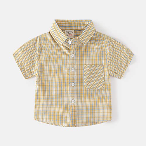 Toddler Short Sleeve Plaid Shirt Newborn Linen Lapel Button Up Soft Collar Neck Blouse Casual Solid Color Tops2