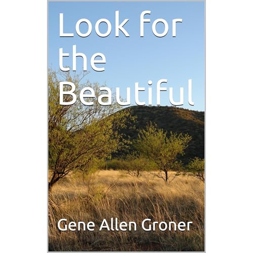 Look for the Beautiful Audiolibro Por Gene Allen Groner arte de portada