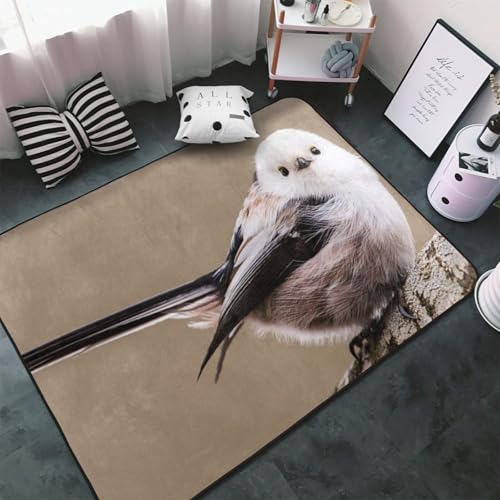 �J�[�y�b�g �V�}�G�i�K ���킢�� �� �����` ���O�}�b�g ���O �O�~ �ėp �h�_�j �R�� �h�� �h�L �ӂ���Ǝ�G�� ������� �D�����t�����l�����O ���g�[�Ή� �􂦂� ����~�ߕt �l�C �v���[���g 100 × 150 cm GGBB55V