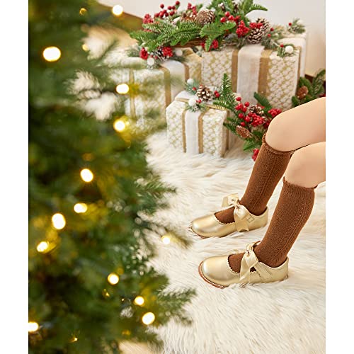 Image of Felix & Flora Toddler Little Girl Mary Jane Dress Shoes - Ballet Flats for Girl Party School Shoes