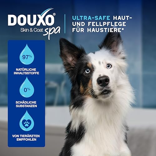 DOUXO Skin & Coat SPA – Ultra-Safe* Trockenshampoo Hund, 150 ml, säubert und erfrischt das Fell, hinterlässt das Fell weich, glänzend und angenehm duftend, hautfreundliche Formel