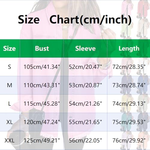 2025 New Women's Casual Denim Button Down Distressed Jacket2