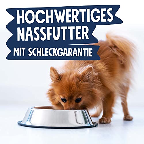 Pets Deli Mini Hunde Nassfutter Huhn, Quinoa, Brokkoli, für kleine, wählerische Rassen, leicht verdaulich, getreidefrei, ohne Zucker, 16x100 g, Premium Qualität