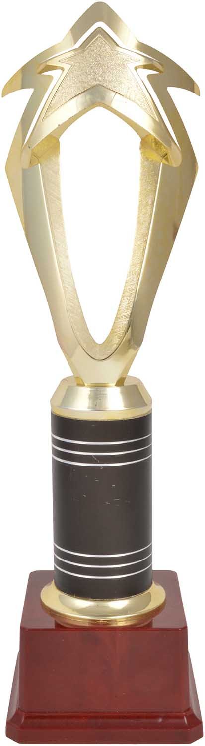 Single Star P Trophy S-picture-24
