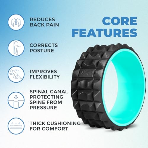 Chirp Wheel XR Acupressure - Back Relief & Muscle Relaxation, Stress Melting, Targeted Trigger Point Release, Comfort Cushioning, High-Density Foam Roller, 500lbs Capacity, 10" Mint - Image 4