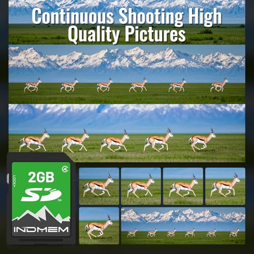 INDMEM SD Card 2GB 2Pack,Class 4 Flash Memory Card 2GB SLC Standard by INDMEM - Image 3