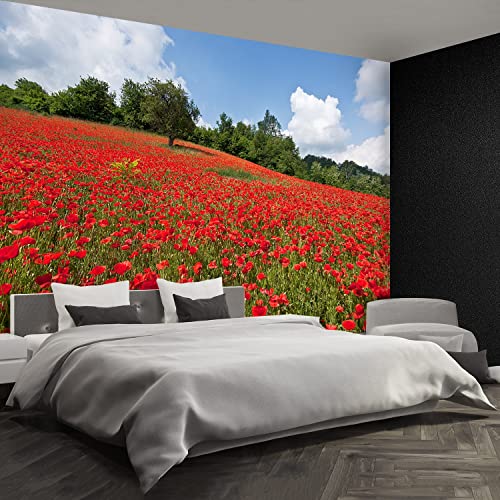 Papier peint champ de coquelicots pour rénover et protéger un mur - 4