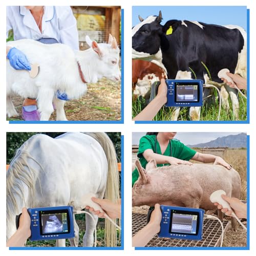 ultrasound machine smart 1029